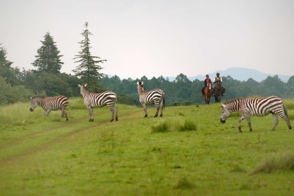 Hotel Fairmont Mount Kenya Safari Club (Nanyuki)